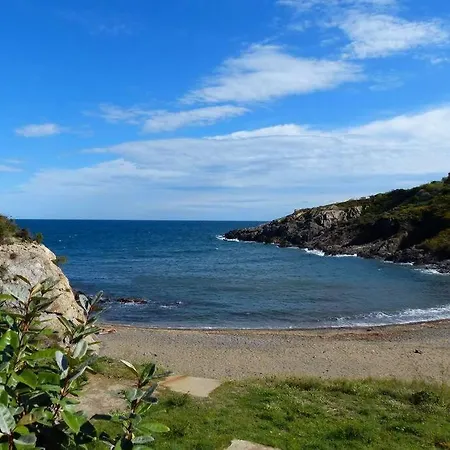 Apartment En Bord De A 50m Clim Garage Location Du Samedi Au Samedi Collioure